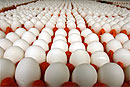Четверть миллиона испорченных куриных яиц не пропустили в Крым