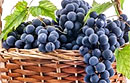 Почему виноград нужно есть с косточками  