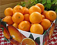 Апельсины и мандарины вредно есть зимой