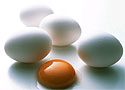 Ученые Британии поделились найденным секретом правильного хранения яиц