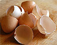 Скорлупа яиц — идеальный источник кальция