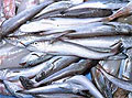 Владивосток: тонны рыбы хранятся, а срок давно истёк