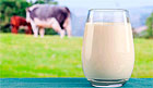 Непастеризованное молоко опасно для здоровья