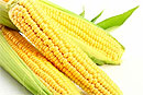 Смертельная кукуруза