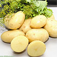 Картофельные клубни понижают давление