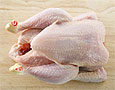 4 правила как правильно покупать курицу в супермаркете