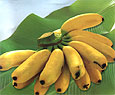 Бананы помогают бороться с вредными привычками